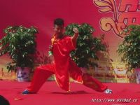 九节鞭武术表演