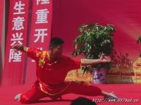 掌法武术表演