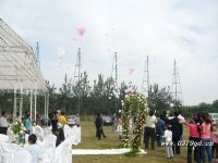 婚庆典礼 新婚婚庆
