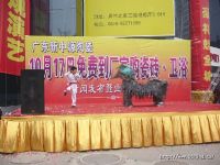 新闻发布会