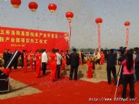 飘球、舞台搭建、礼仪小姐、空气炮、鲜花